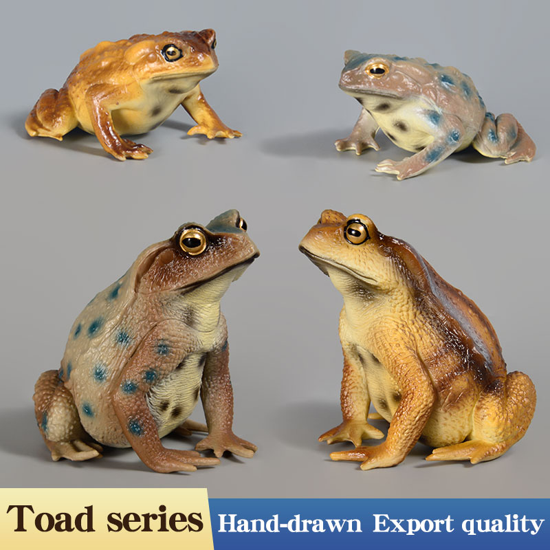 รูปแบบจำลองกบสะเทินน้ำสะเทินบก - Kids Toys Packaging บทวิจารณ์และราคา