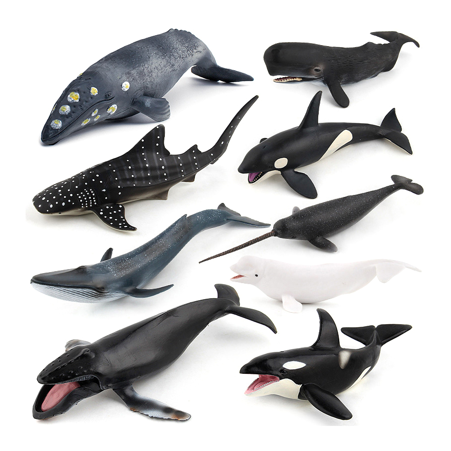 โมเดลสัตว์ทะเลจำลอง วาฬหลังโค้ - Kids Toys Under 100 บทวิจารณ์และราคา