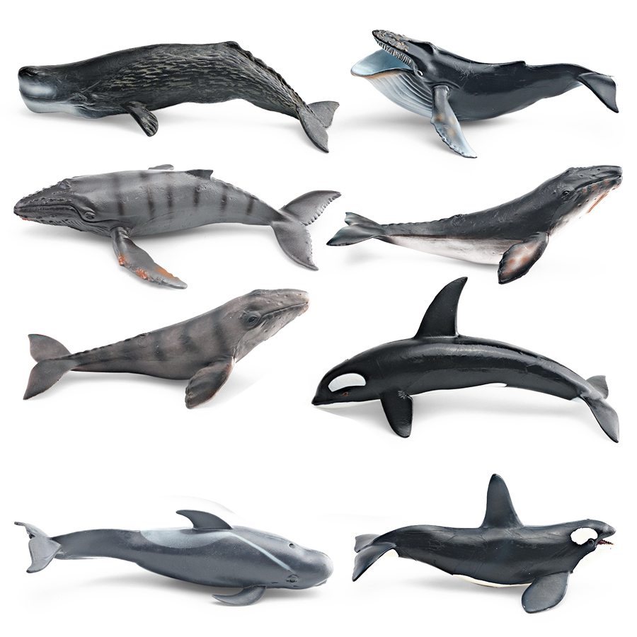 โมเดลสัตว์ทะเลจำลอง วาฬหลังโค้ - Kids Toys Under 100 บทวิจารณ์และราคา