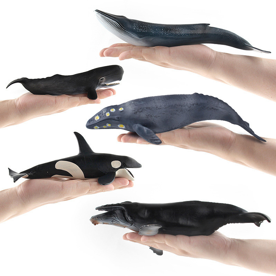 โมเดลสัตว์ทะเลจำลอง วาฬหลังโค้ - Kids Toys Under 100 บทวิจารณ์และราคา