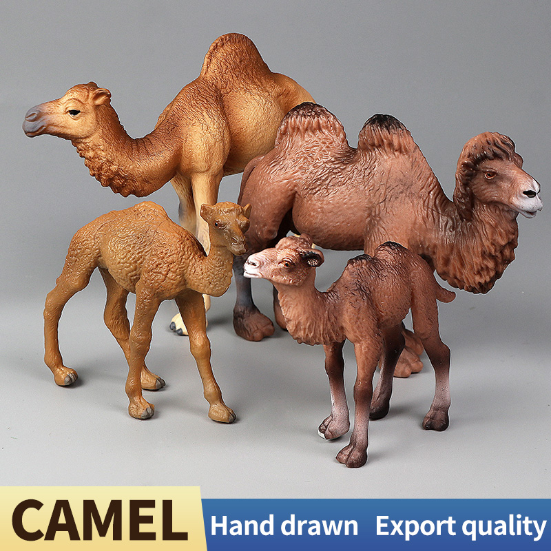 ชุดโมเดลจำลองสัตว์จริง รุ่นใหม - Kids Toys Packaging บทวิจารณ์และราคา