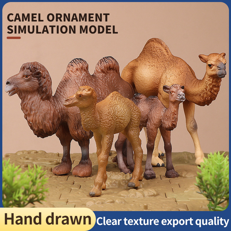 ชุดโมเดลจำลองสัตว์จริง รุ่นใหม - Kids Toys Packaging บทวิจารณ์และราคา